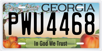 GA license plate PWU4468