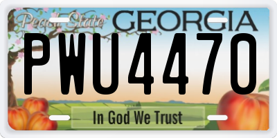 GA license plate PWU4470