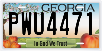 GA license plate PWU4471