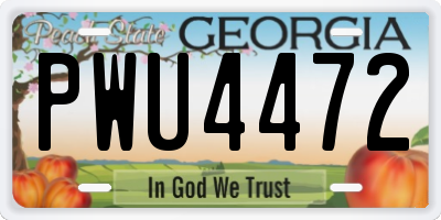 GA license plate PWU4472