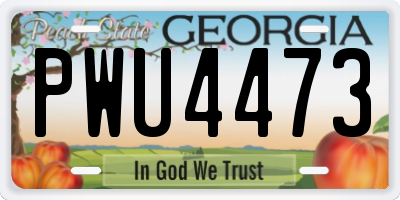 GA license plate PWU4473