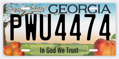 GA license plate PWU4474