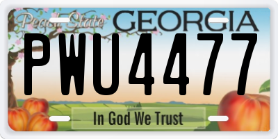GA license plate PWU4477