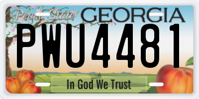GA license plate PWU4481