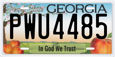 GA license plate PWU4485