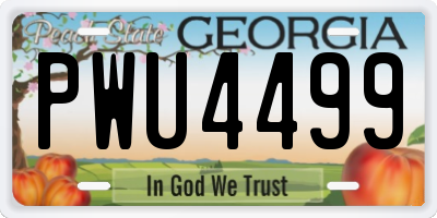 GA license plate PWU4499