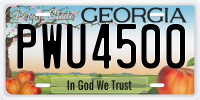 GA license plate PWU4500