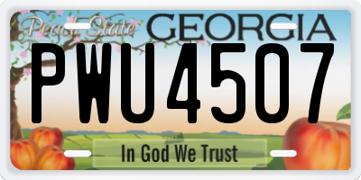 GA license plate PWU4507