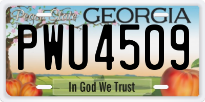 GA license plate PWU4509