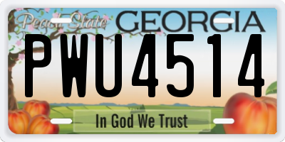 GA license plate PWU4514