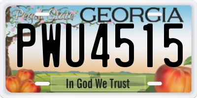 GA license plate PWU4515