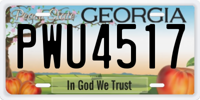 GA license plate PWU4517