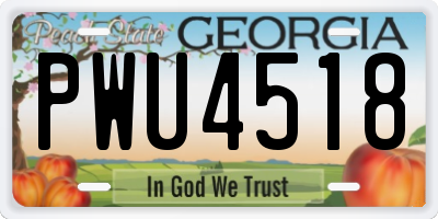 GA license plate PWU4518