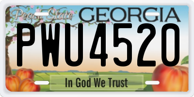 GA license plate PWU4520
