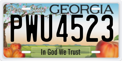 GA license plate PWU4523