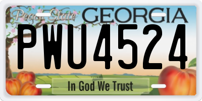 GA license plate PWU4524