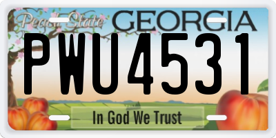 GA license plate PWU4531