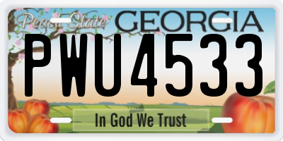GA license plate PWU4533
