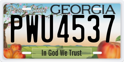 GA license plate PWU4537