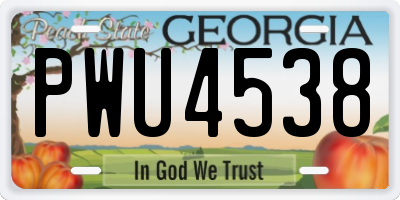 GA license plate PWU4538