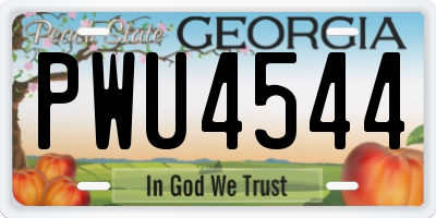 GA license plate PWU4544