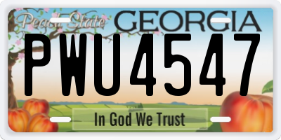 GA license plate PWU4547