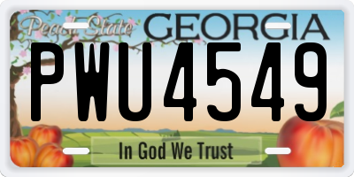 GA license plate PWU4549