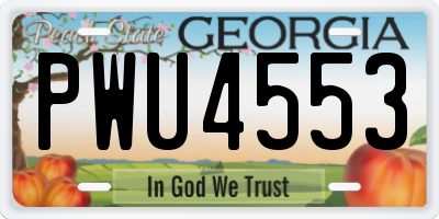 GA license plate PWU4553