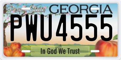 GA license plate PWU4555