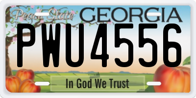 GA license plate PWU4556