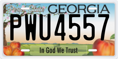 GA license plate PWU4557