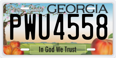 GA license plate PWU4558