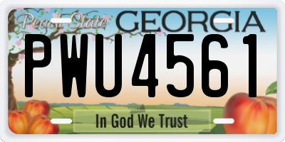 GA license plate PWU4561