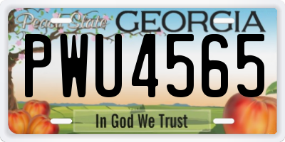 GA license plate PWU4565