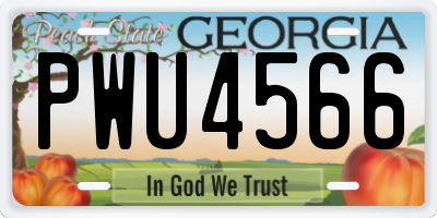 GA license plate PWU4566