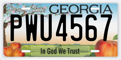 GA license plate PWU4567