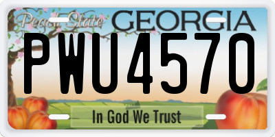 GA license plate PWU4570