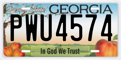 GA license plate PWU4574