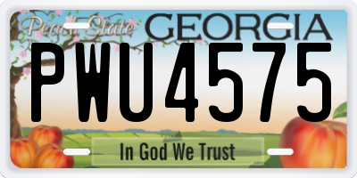 GA license plate PWU4575