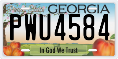 GA license plate PWU4584