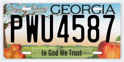 GA license plate PWU4587