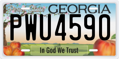 GA license plate PWU4590