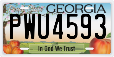 GA license plate PWU4593