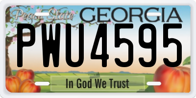 GA license plate PWU4595
