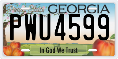 GA license plate PWU4599