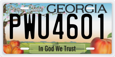 GA license plate PWU4601