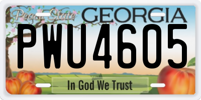 GA license plate PWU4605