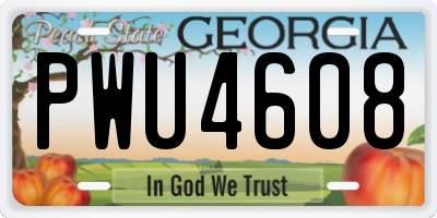 GA license plate PWU4608