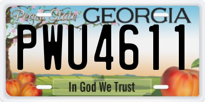 GA license plate PWU4611