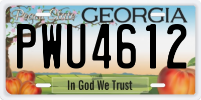GA license plate PWU4612